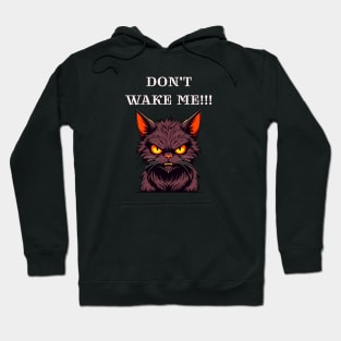 Don't wake me, messy angry cat Hoodie